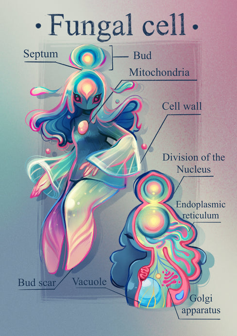 Fungal Cell Print